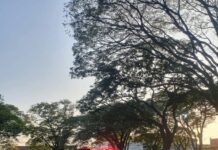 Homem é preso após furtar 15 kg de cobre de multinacional