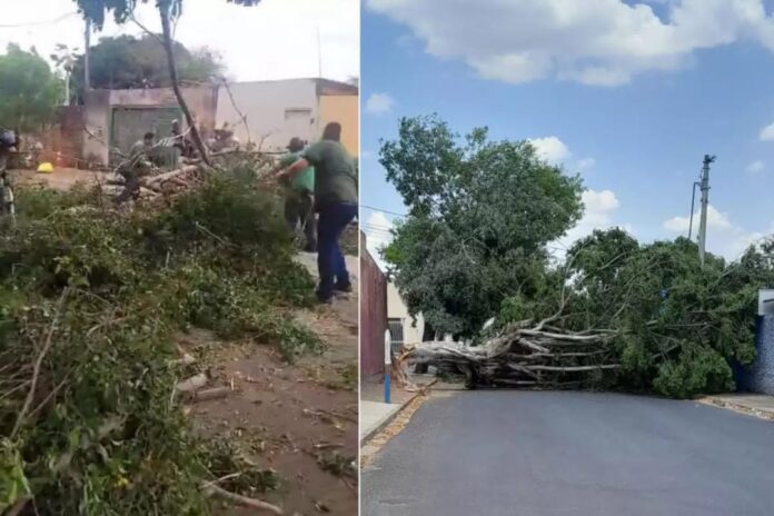 FB_IMG_1758677963109