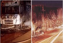 🔥 Caminhão carregado de carne pega fogo e é destruído na rodovia!