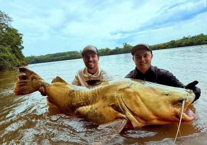 FB_IMG_1761878806873