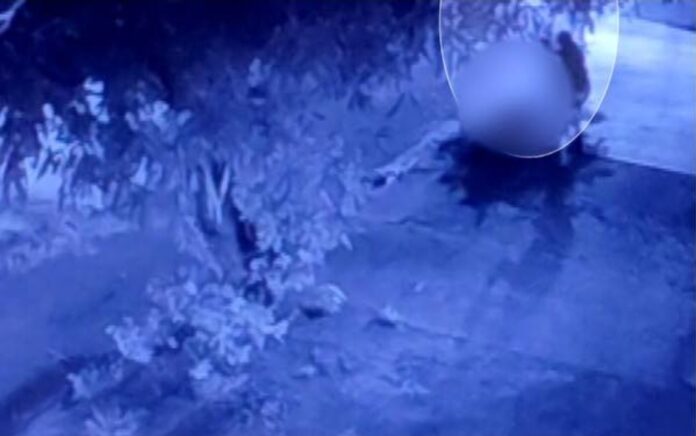 Screenshot_20251027_220439_Business Suite