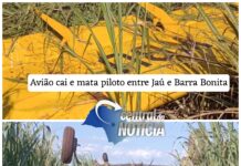 URGENTE: Avião cai e mata piloto entre Jaú e Barra Bonita