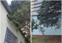 Ginásio de escola municipal é alvo de vandalismo e fica danificado