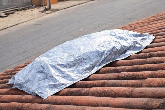 FB_IMG_1767312805075