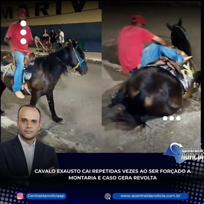 FB_IMG_1769903744515