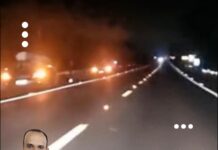 Acidente com morte de capivara provoca sequência de colisões na Jaú-Dois Córregos