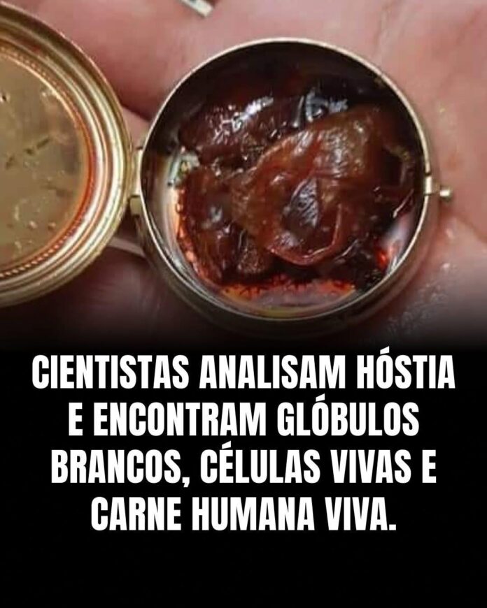 FB_IMG_1771223801150