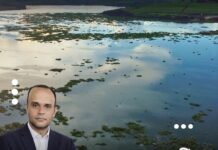 Tapete verde toma conta do Tietê e revela poluição que desce da capital ao interior