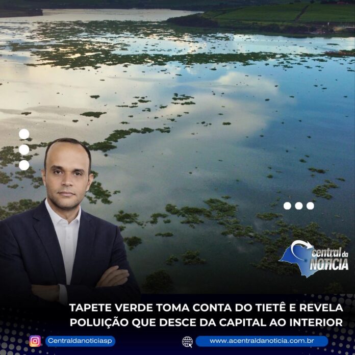 FB_IMG_1771546753948