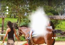 Inauguração de projeto com cavalos emociona e reforça cuidado com a saúde mental em Jaú