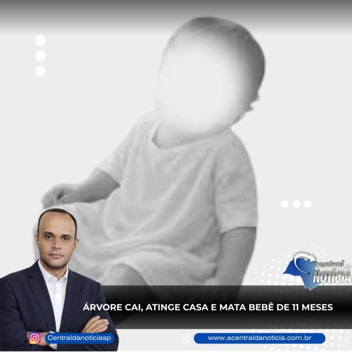 FB_IMG_1771795462202