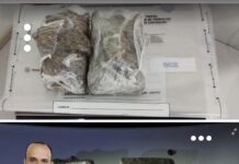 Suspeito tenta fugir, pula escola e acaba preso com mais de 1 kg de maconha em Jaú