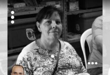 Abelhas invadem casa e causam morte de idosa; família vive momentos de desespero