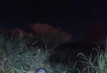 Motorista passa mal, perde controle e carro sobe na calçada