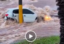 Caos em Bauru: carros arrastados, mulher socorrida e teto de academia desaba após tempestade deixar cidade de “ponta cabeça”