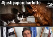 Faneco cobra rigor da Justiça após caso Charlotte revoltar moradores