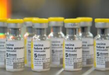 Lençóis intensifica vacinação após morte por febre amarela confirmada na cidade