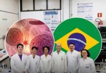 Pesquisa brasileira reduz crescimento de tumores em até 99,6% e anima especialistas no combate ao câncer