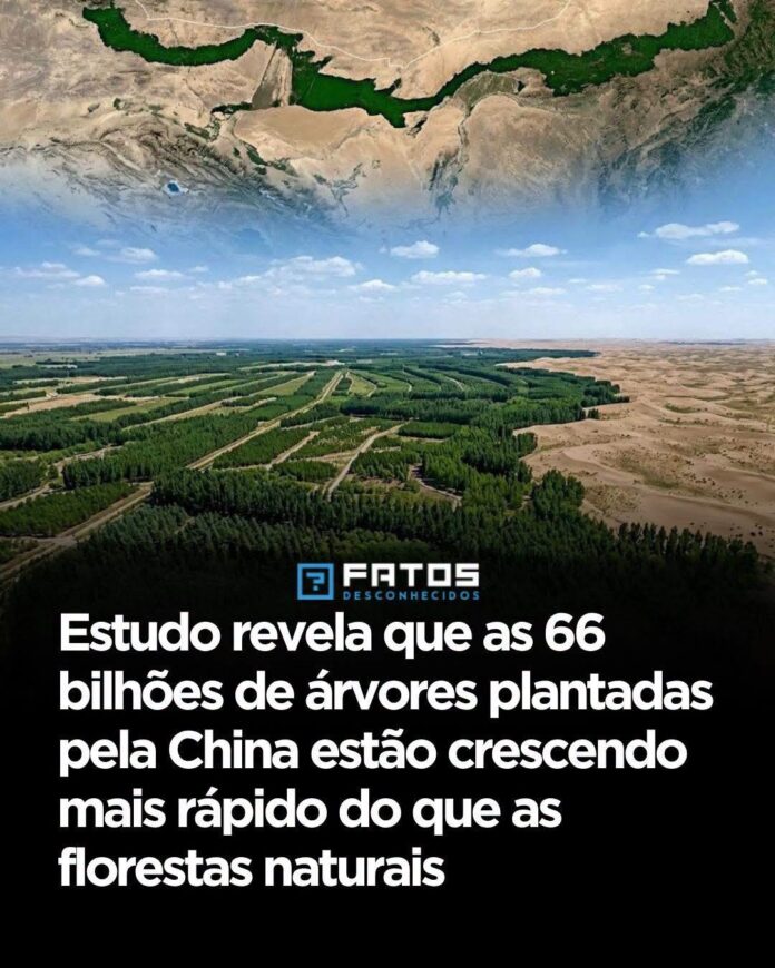 FB_IMG_1783729131003