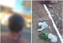 Ladrões são presos após furtarem horta e entrarem em luta corporal com casal
