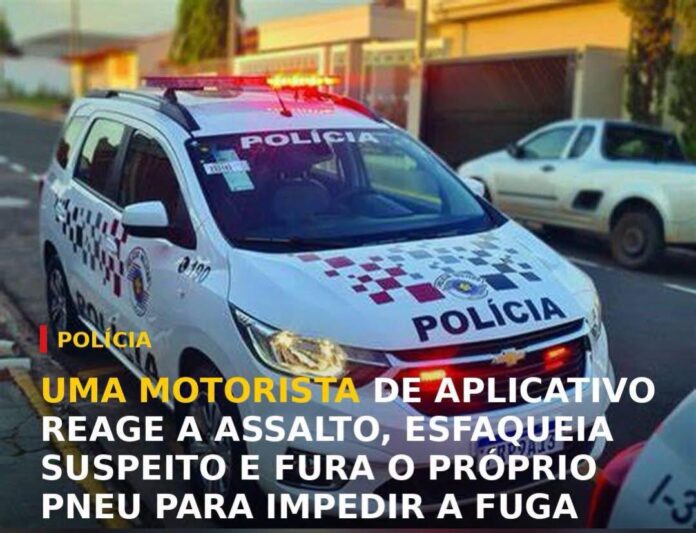 FB_IMG_1784496382248