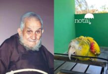 Papagaio que pertenceu a Frei Damião completa quase 90 anos e vira relíquia viva na Paraíba