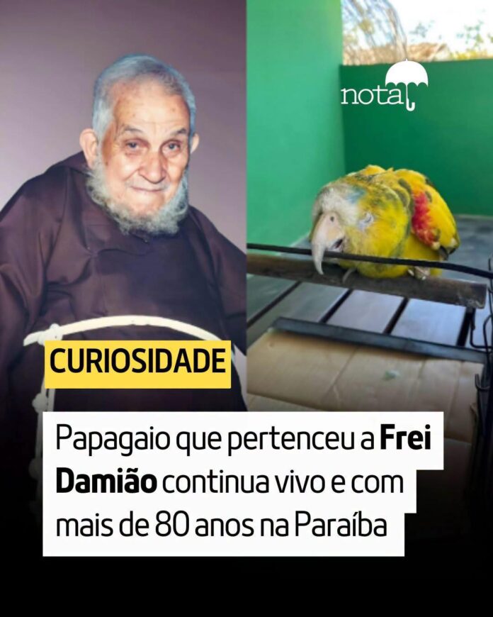 FB_IMG_1784496510977