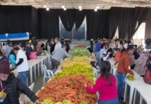 Vamos fazer a feira? Em Dois Córregos, 700 famílias recebem alimentos gratuitamente todos os meses