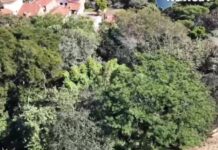Chega de mau cheiro: córrego Santa Clara entra em recuperação ambiental e problema histórico caminha para o fim