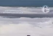 Jovem de 16 anos desafia ondas gigantes e salva menino de afogamento na Califórnia