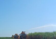 Mitos e verdades: risco de incêndios em canaviais aumenta durante a seca