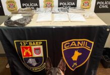Cão farejador encontra quase 6 kg de drogas escondidos em área de mata – video nos comentários e no nosso insta