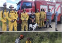 Cachorro cai de penhasco de 15 metros e é salvo pelos Bombeiros