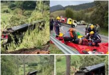 Ônibus com romeiros a caminho de Aparecida cai em ribanceira e deixa seis mortos