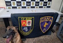 Polícia Civil apreende crack e maconha escondidos em campo de futebol