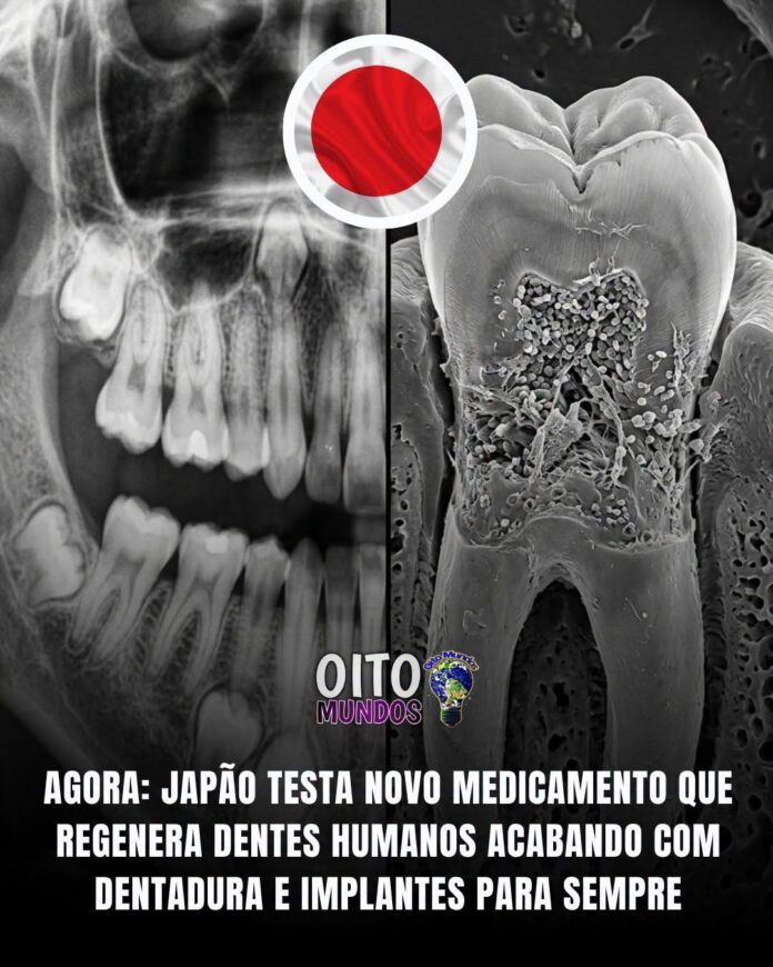 FB_IMG_1790771806989